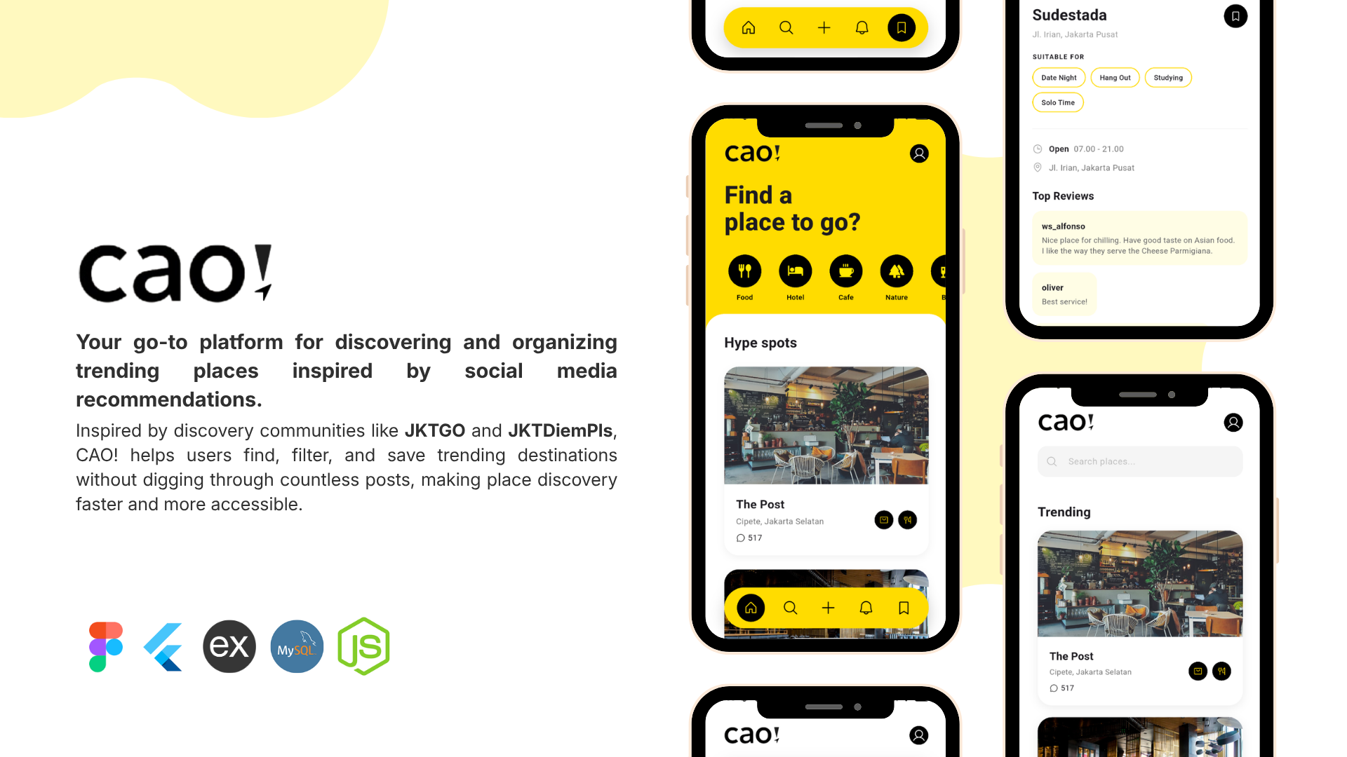 CAO project interface preview